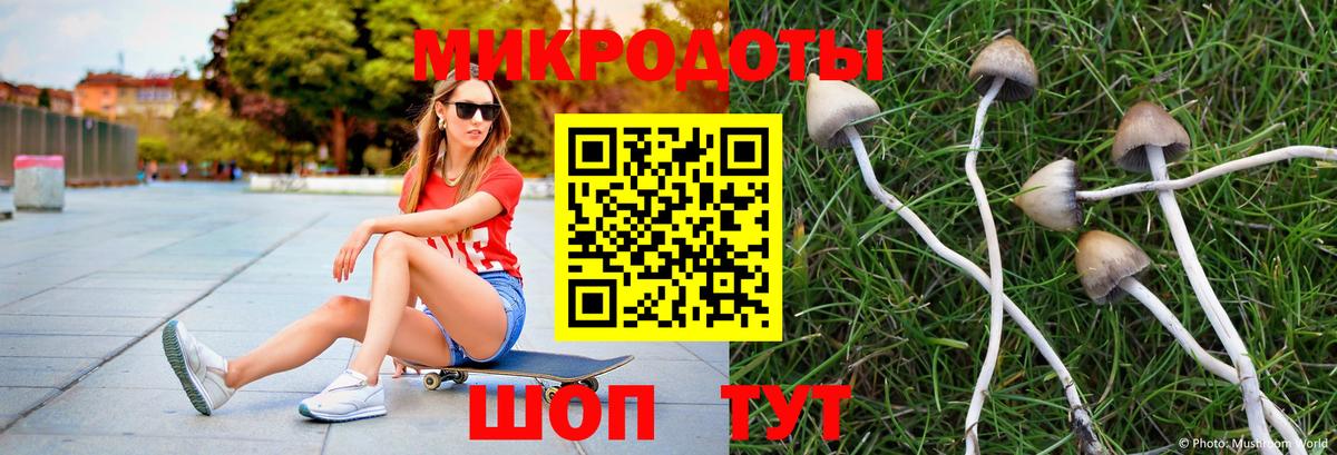 Псилоцибиновые грибы Psilocybine cubensis  цена   Можга  Вход с VPN 